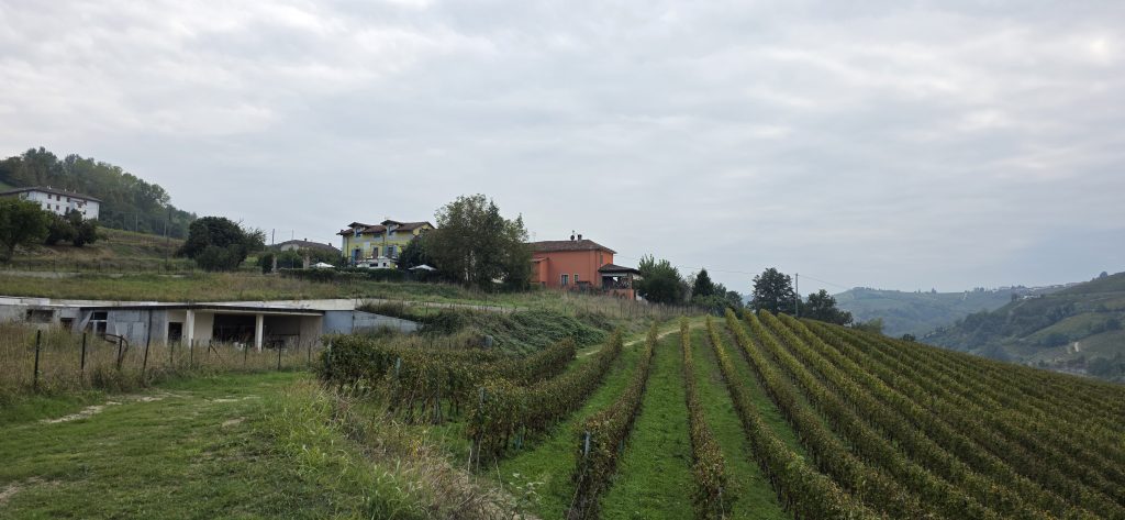 Vista del Nostra casa vacanze con in merso tra i Vigneti di Neviglie